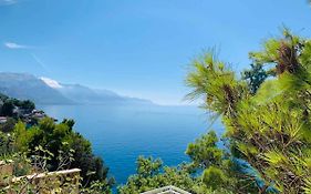 Adriatik Paradise